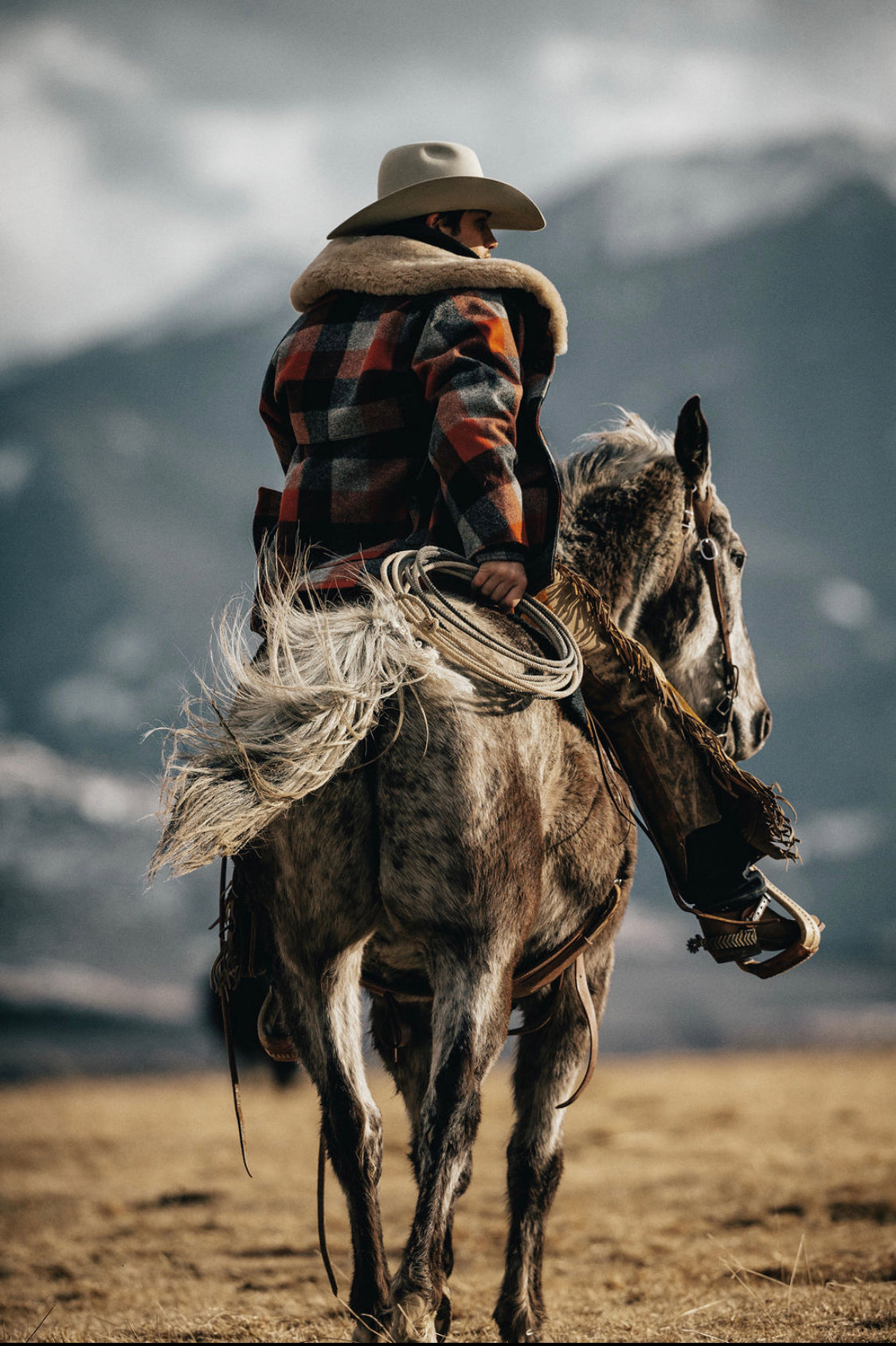 Become A Cowboy Heart Member